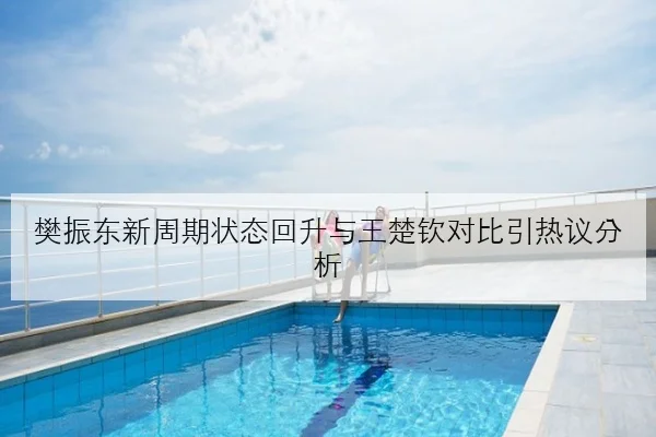樊振东新周期状态回升与王楚钦对比引热议分析